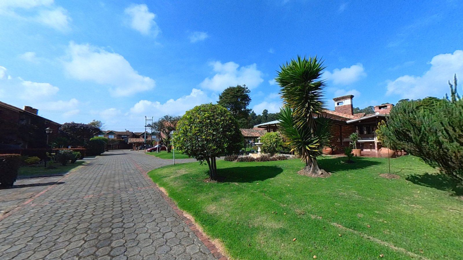 IMG_20260121_062203_00_658.insp