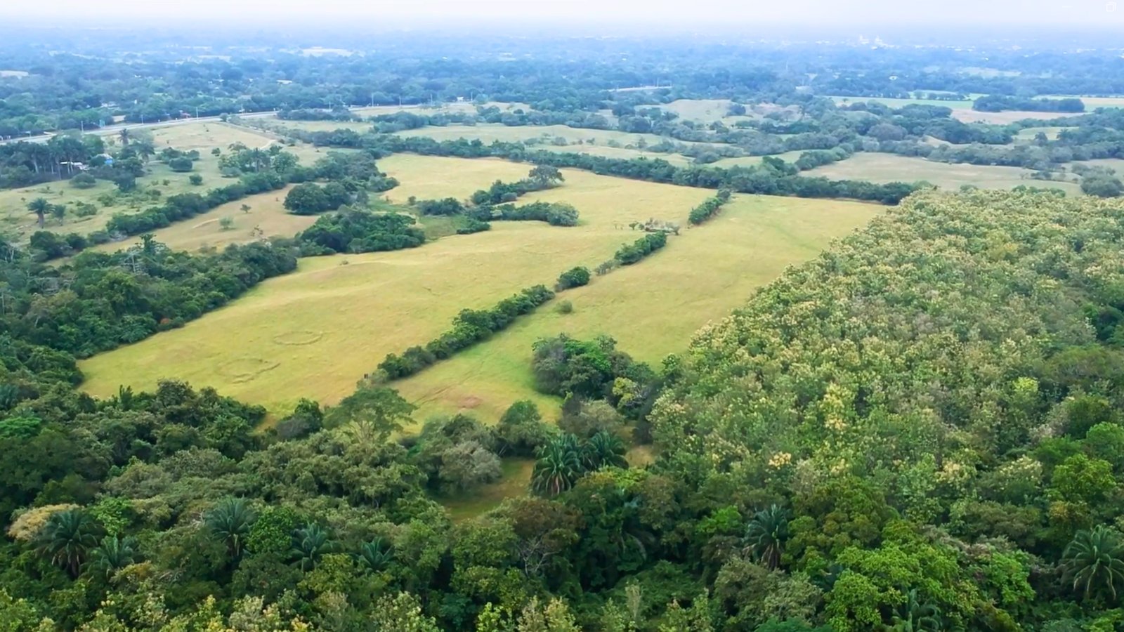 Finca en Venta | El Guamo | 109 hectáreas